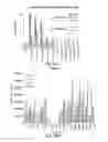 Fig. 31 - MODULATION OF THE IMMUNE RESPONSE