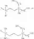 Fig. 37 - MODULATION OF THE IMMUNE RESPONSE