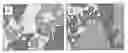 Fig. 01 - Wound healing compositions containing keratin biomaterials