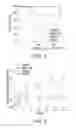 Fig. 04 - Wound healing compositions containing keratin biomaterials