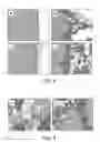 Fig. 06 - Wound healing compositions containing keratin biomaterials