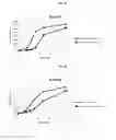 Fig. 02 - Prebiotic formulations for use with probiotics to increase probiotic growth rate and activity
