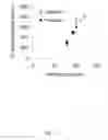 Fig. 20 - LIPOSOMES FOR DRUG DELIVERY AND METHODS FOR PREPARATION THEREOF
