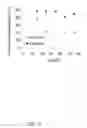 Fig. 21 - LIPOSOMES FOR DRUG DELIVERY AND METHODS FOR PREPARATION THEREOF