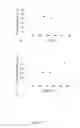 Fig. 26 - LIPOSOMES FOR DRUG DELIVERY AND METHODS FOR PREPARATION THEREOF
