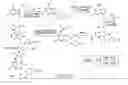 Fig. 31 - Phospholipid drug analogs