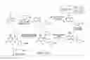 Fig. 33 - Phospholipid drug analogs