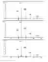 Fig. 04 - Respiratory syncytial virus antigenic compositions and methods