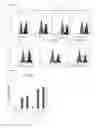 Fig. 11 - Respiratory syncytial virus antigenic compositions and methods