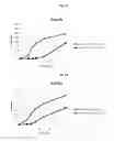 Fig. 05 - Treatment including prebiotic composition for use with probiotics