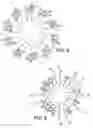 Fig. 04 - Nanoparticle film delivery systems