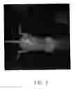 Fig. 04 - DRUG CARRIER