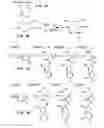 Fig. 02 - Nanoparticle compositions and methods for improved oral delivery of active agents