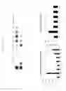 Fig. 02 - Modified virus vectors and methods of making and using the same