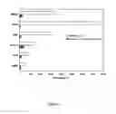 Fig. 03 - Compositions for skin diseases or disorders