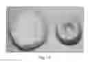 Fig. 02 - MICROWAVABLE FROZEN COOKIE DOUGH