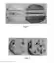 Fig. 04 - MICROWAVABLE FROZEN COOKIE DOUGH