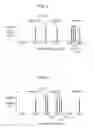 Fig. 04 - METHOD FOR PRODUCING PLASMA DISPLAY PANEL