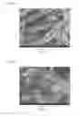 Fig. 07 - Process and apparatus for producing composite material that includes carbon nanotubes