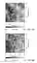 Fig. 08 - METHOD FOR MANUFACTURING A SUBSTRATE WITH SURFACE STRUCTURE BY EMPLOYING PHOTOTHERMAL EFFECT