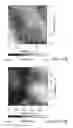 Fig. 09 - METHOD FOR MANUFACTURING A SUBSTRATE WITH SURFACE STRUCTURE BY EMPLOYING PHOTOTHERMAL EFFECT
