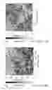 Fig. 11 - METHOD FOR MANUFACTURING A SUBSTRATE WITH SURFACE STRUCTURE BY EMPLOYING PHOTOTHERMAL EFFECT