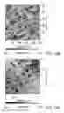 Fig. 13 - METHOD FOR MANUFACTURING A SUBSTRATE WITH SURFACE STRUCTURE BY EMPLOYING PHOTOTHERMAL EFFECT
