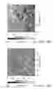Fig. 14 - METHOD FOR MANUFACTURING A SUBSTRATE WITH SURFACE STRUCTURE BY EMPLOYING PHOTOTHERMAL EFFECT