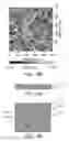 Fig. 15 - METHOD FOR MANUFACTURING A SUBSTRATE WITH SURFACE STRUCTURE BY EMPLOYING PHOTOTHERMAL EFFECT