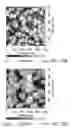 Fig. 17 - METHOD FOR MANUFACTURING A SUBSTRATE WITH SURFACE STRUCTURE BY EMPLOYING PHOTOTHERMAL EFFECT