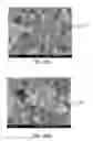 Fig. 23 - METHOD FOR MANUFACTURING A SUBSTRATE WITH SURFACE STRUCTURE BY EMPLOYING PHOTOTHERMAL EFFECT