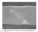 Fig. 01 - FLEXIBLE THERMOPLASTIC FILMS AND ARTICLES