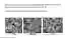 Fig. 10 - Spill resistant surfaces having hydrophobic and oleophobic borders