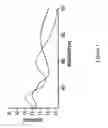 Fig. 02 - NANOFIBERS FROM POLYANILINE DERIVATIVES AND METHODS OF SYNTHESIZING AND USING THE SAME