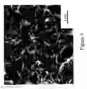 Fig. 04 - NANOFIBERS FROM POLYANILINE DERIVATIVES AND METHODS OF SYNTHESIZING AND USING THE SAME
