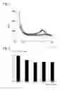 Fig. 02 - Loaded Polymer