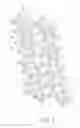 Fig. 02 - ACTIVE MATERIAL FOR BATTERY, NONAQUEOUS ELECTROLYTE BATTERY, BATTERY PACK, AND VEHICLE