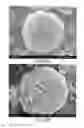 Fig. 05 - Anode material of rapidly chargeable lithium battery and manufacturing method thereof
