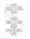 Fig. 08 - Fuel cell