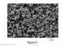 Fig. 12 - Fuel cell electrodes with conduction networks
