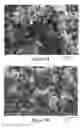 Fig. 13 - Fuel cell electrodes with conduction networks