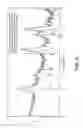 Fig. 05 - ELECTRODES FOR FUEL CELLS