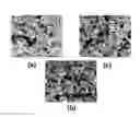 Fig. 01 - Preconditioning treatment to enhance redox tolerance of solid oxide fuel cells