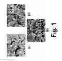 Fig. 02 - Preconditioning treatment to enhance redox tolerance of solid oxide fuel cells