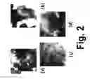 Fig. 03 - Preconditioning treatment to enhance redox tolerance of solid oxide fuel cells