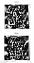 Fig. 55 - Correction of errors of a photolithographic mask using a joint optimization process