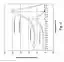 Fig. 05 - High-risk human papillomavirus detection