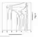 Fig. 05 - High-risk human papillomavirus detection