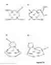 Fig. 13 - Luminescence assay method