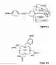 Fig. 15 - Luminescence assay method